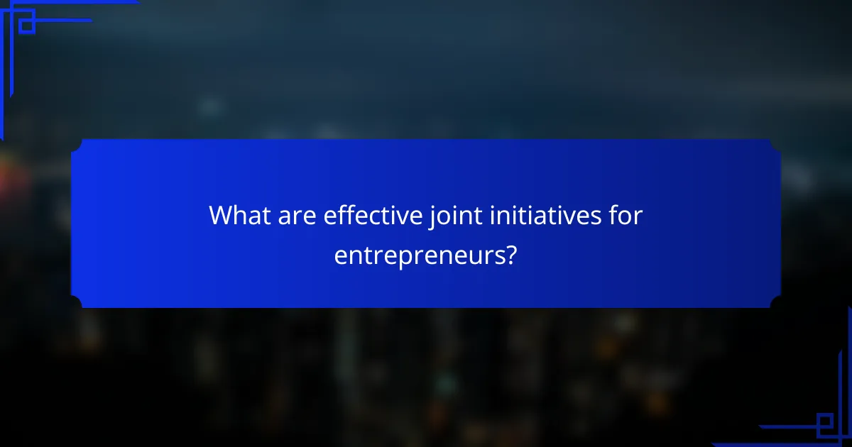 What are effective joint initiatives for entrepreneurs?