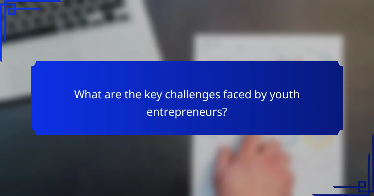 What are the key challenges faced by youth entrepreneurs?