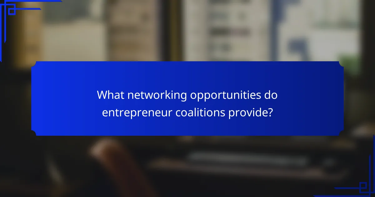 What networking opportunities do entrepreneur coalitions provide?